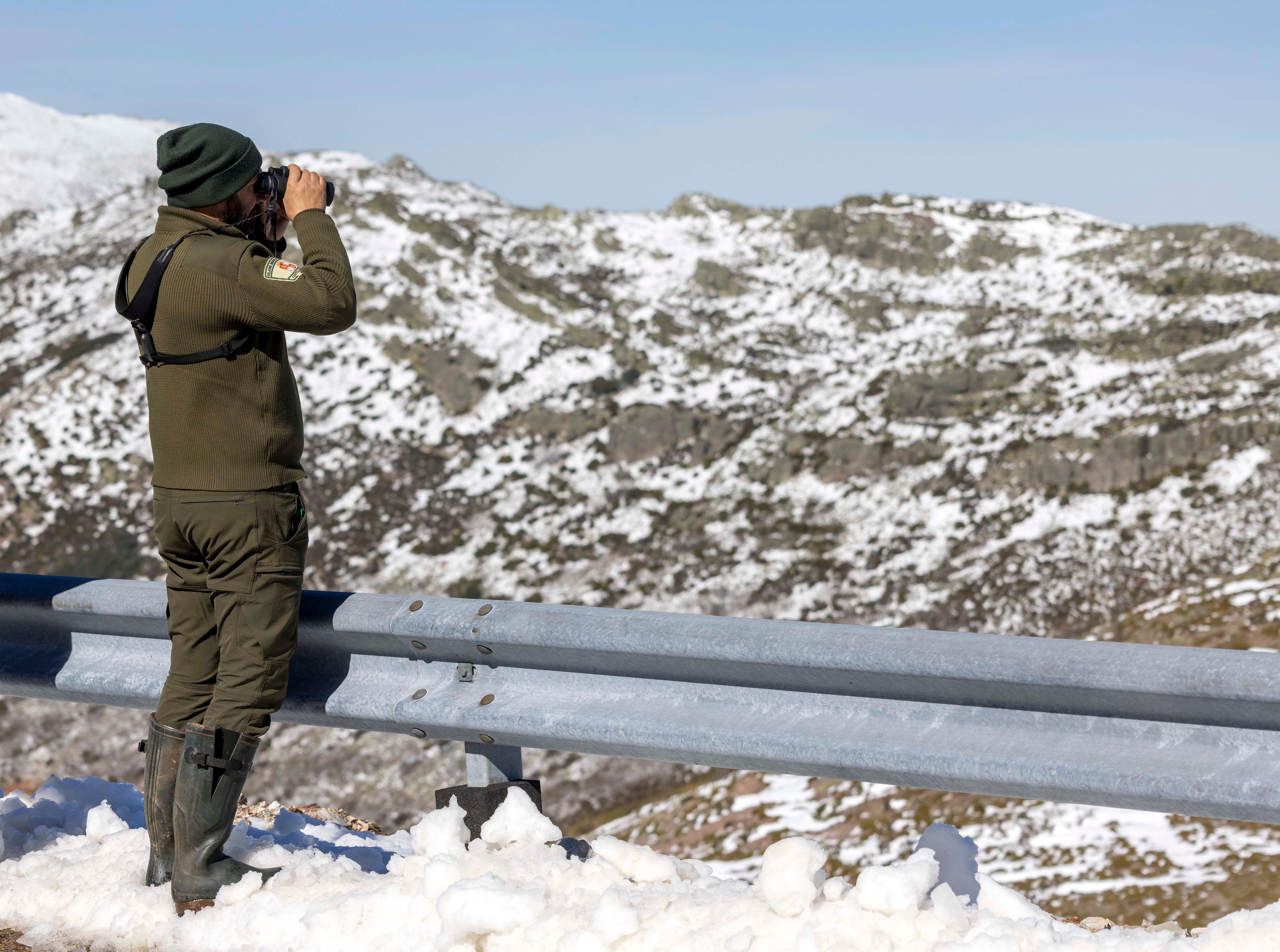 La cabra montesa, especie emblemática de Las Batuecas