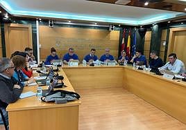 Pleno celebrado en Carbajosa
