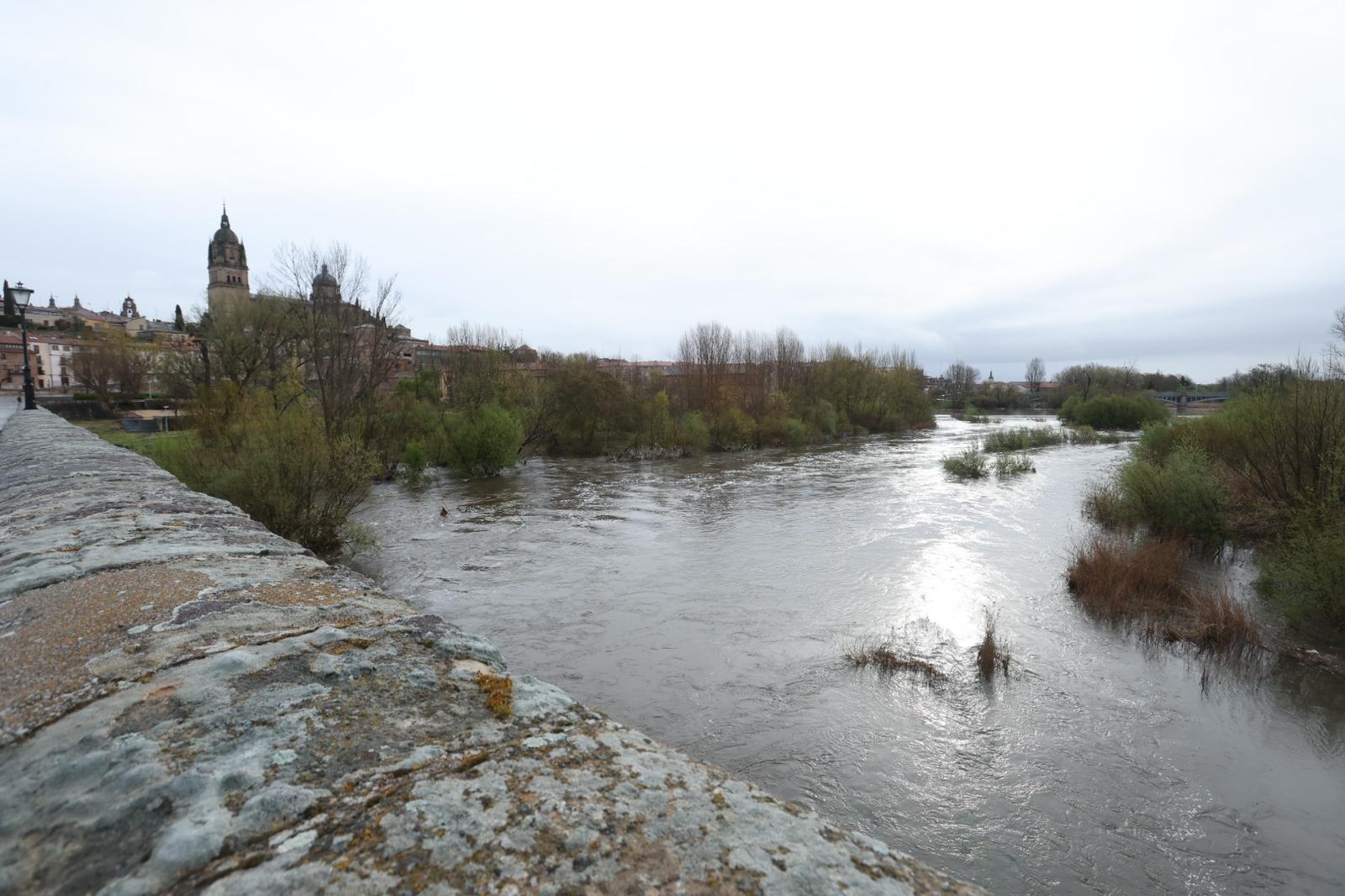 Crecida del Tormes por las lluvias y nevadas