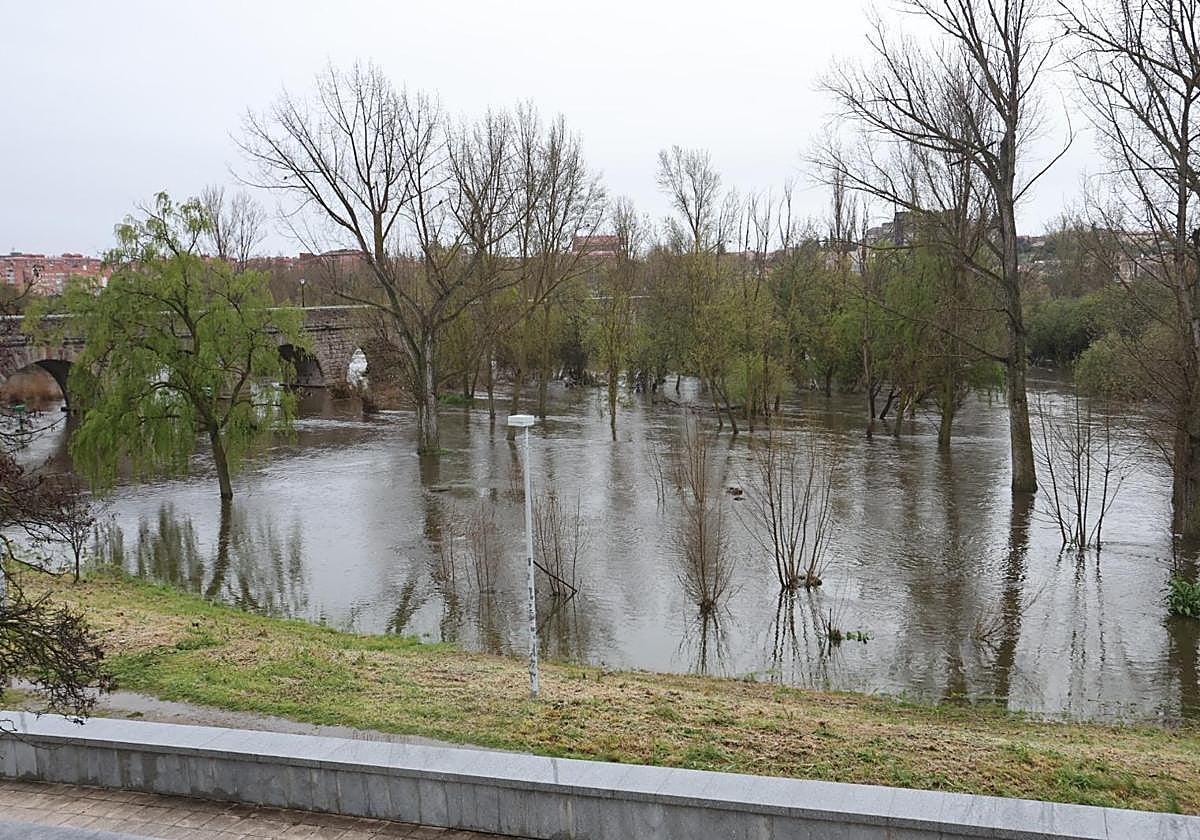 Situación del Tormes a su paso por Salamanca este domingo.