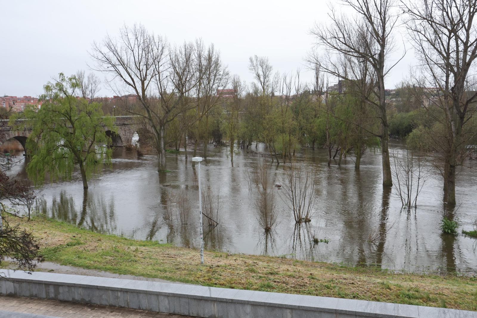 Crecida del Tormes por las lluvias y nevadas