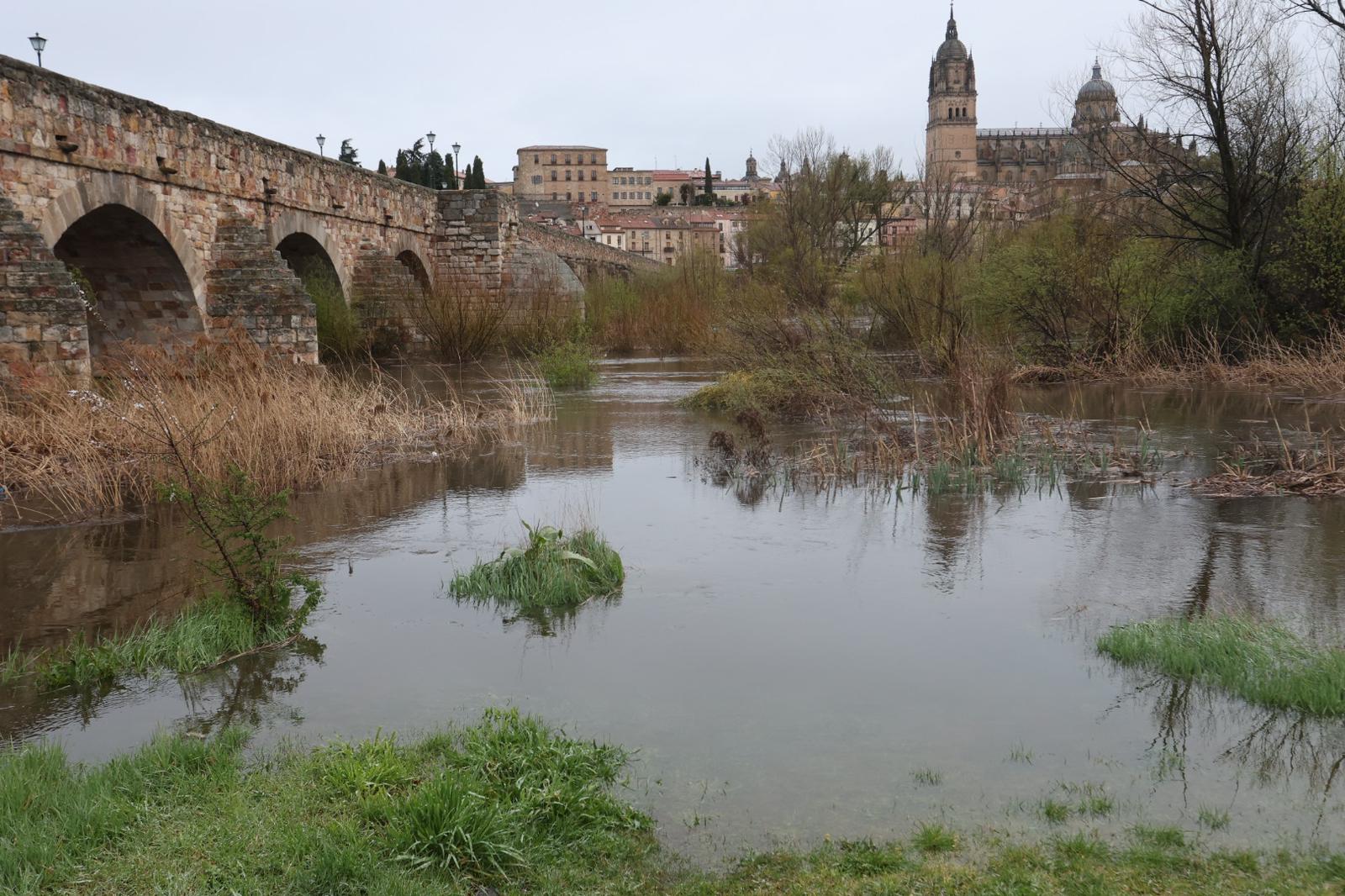 Crecida del Tormes por las lluvias y nevadas
