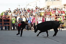 Imagen de un encierro anterior en la localidad de Villoria.