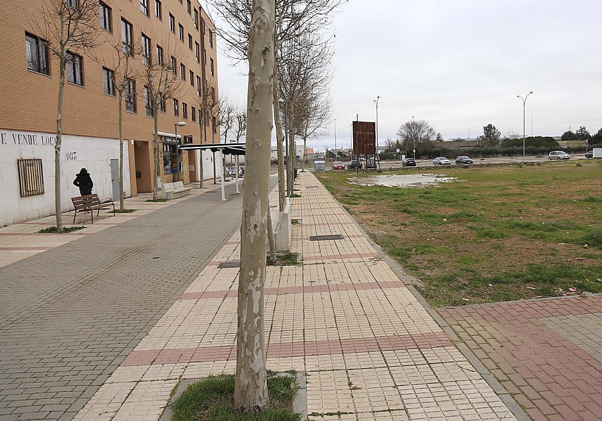 Imagen de la zona en la que estaba prevista la construcción del centro de salud de El Zurguén.