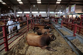 Foto de Archivo Salamaq 2023