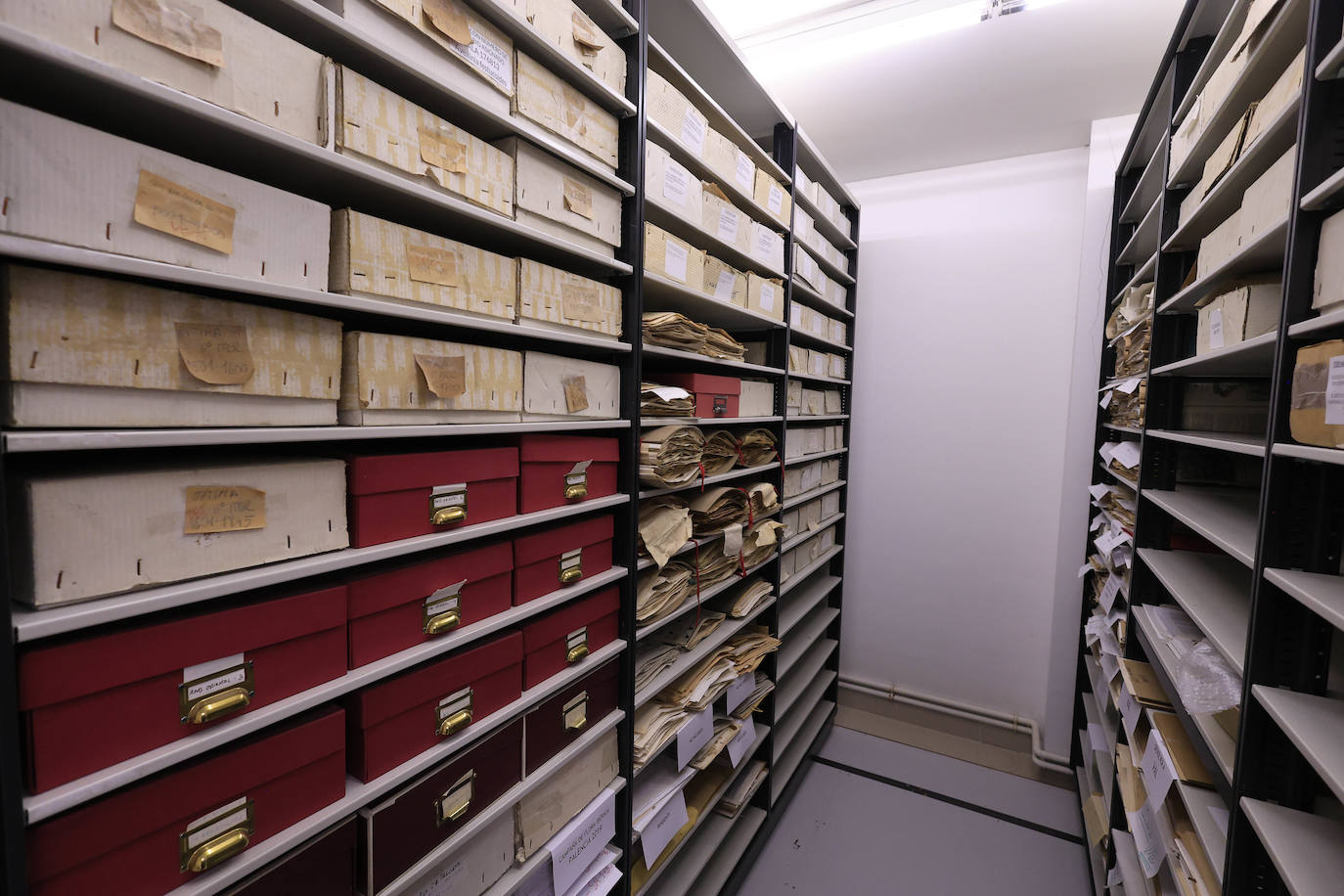 Plantas secas al servicio de la investigación