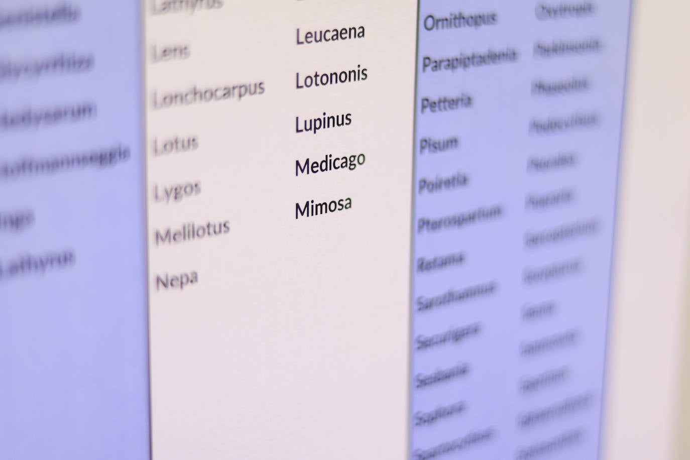 Plantas secas al servicio de la investigación