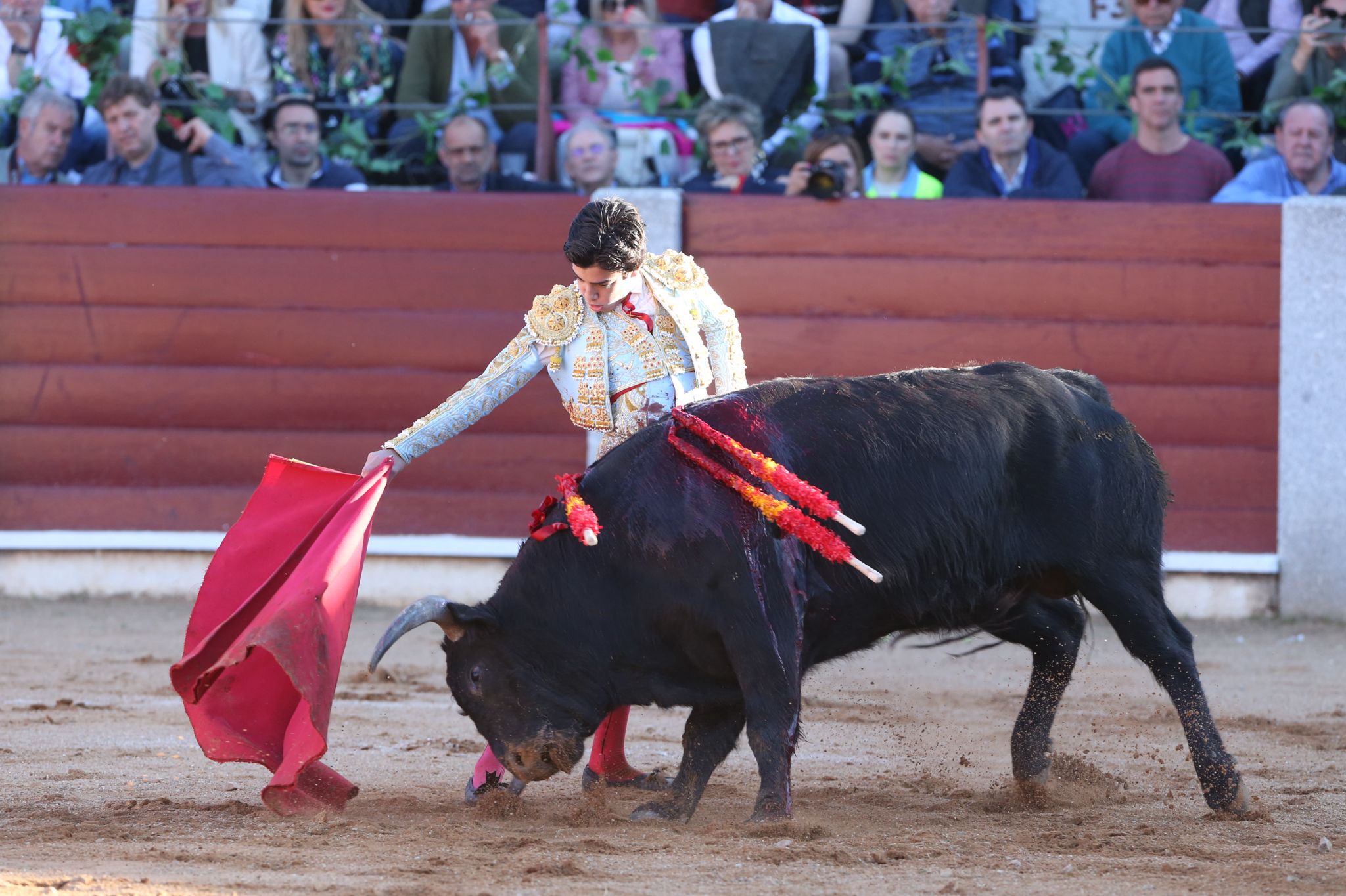 Puerta grande para Marco Pérez en una ilusionante tarde en Guijuelo