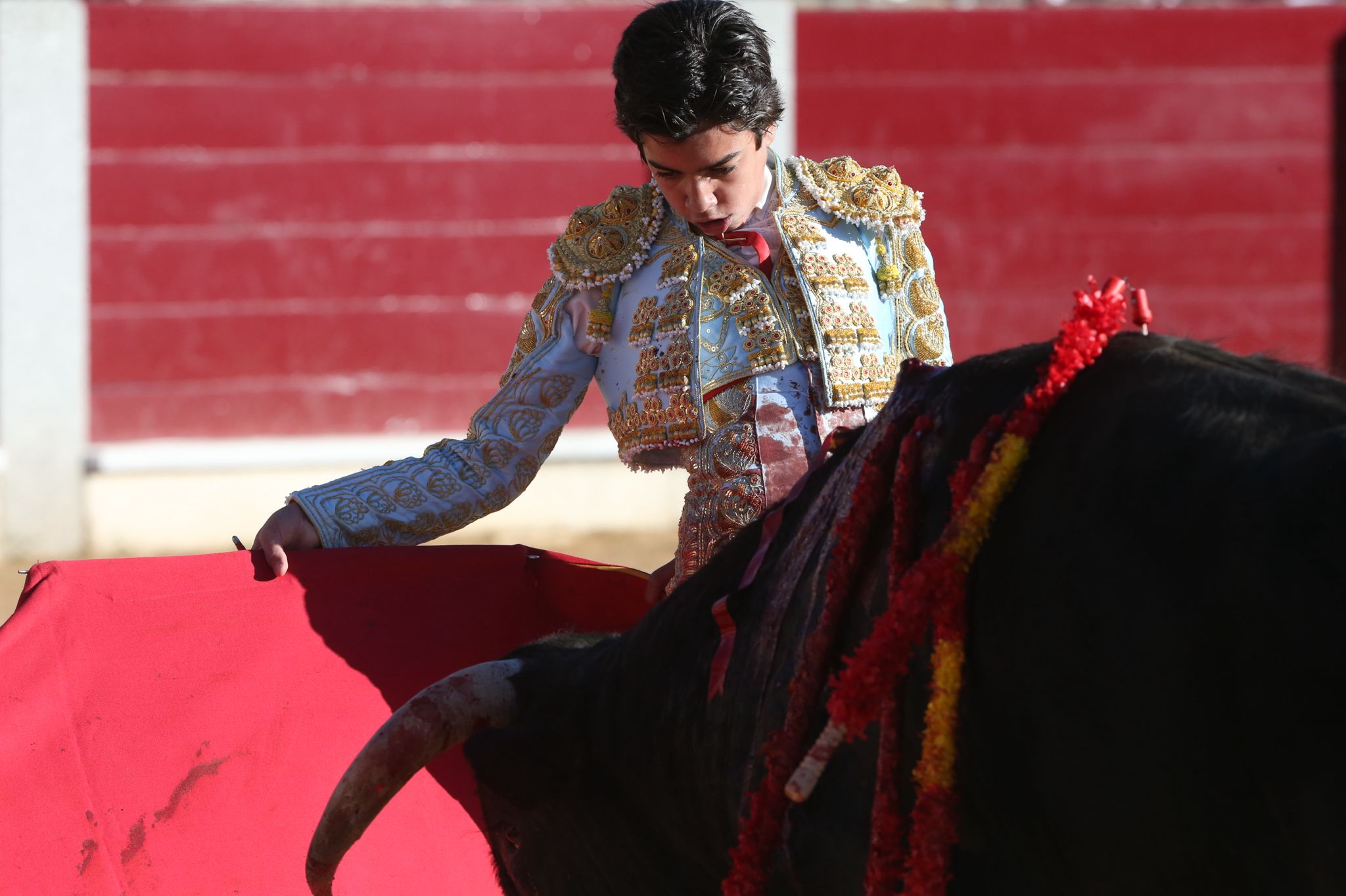Puerta grande para Marco Pérez en una ilusionante tarde en Guijuelo