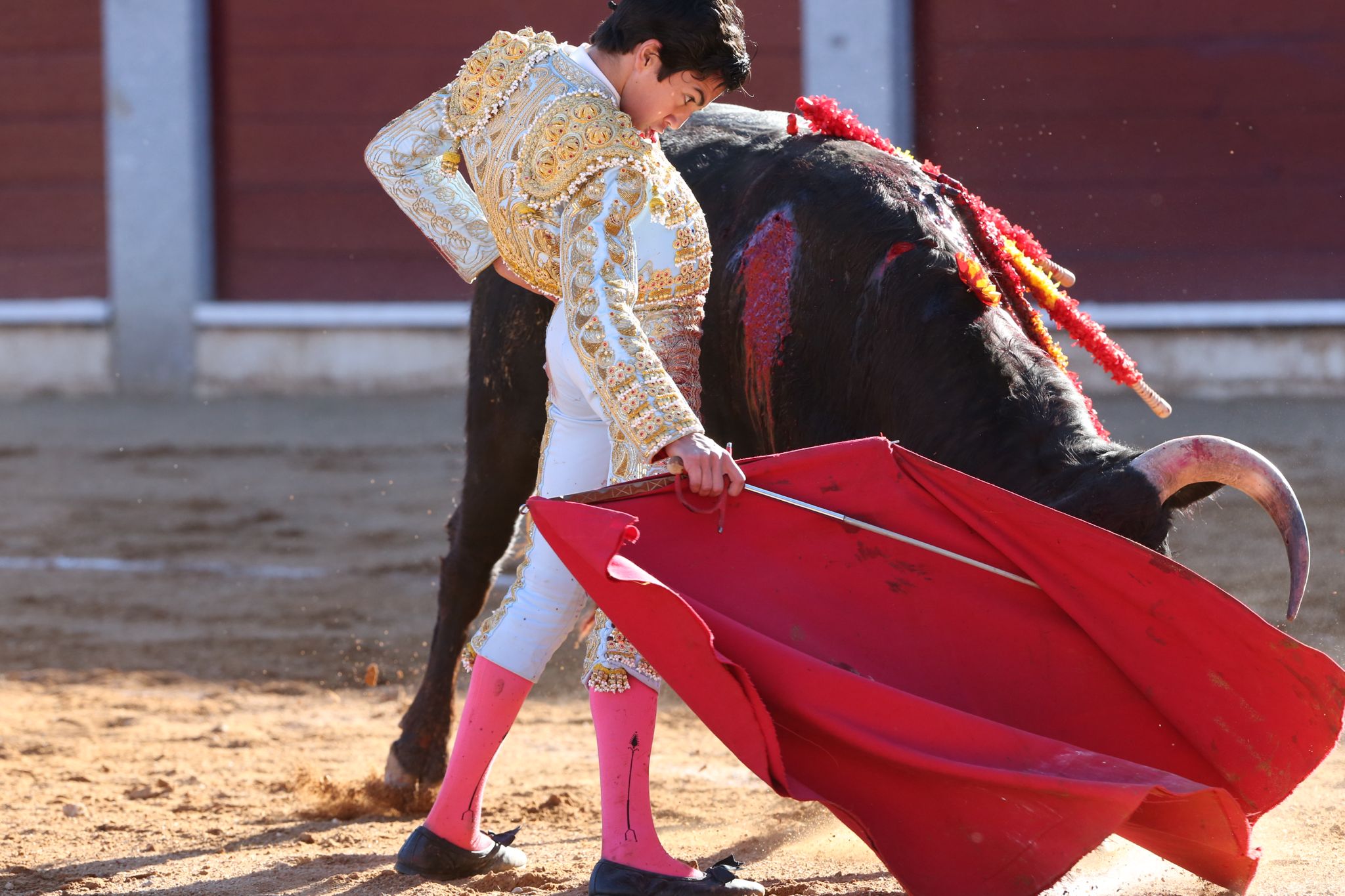 Puerta grande para Marco Pérez en una ilusionante tarde en Guijuelo