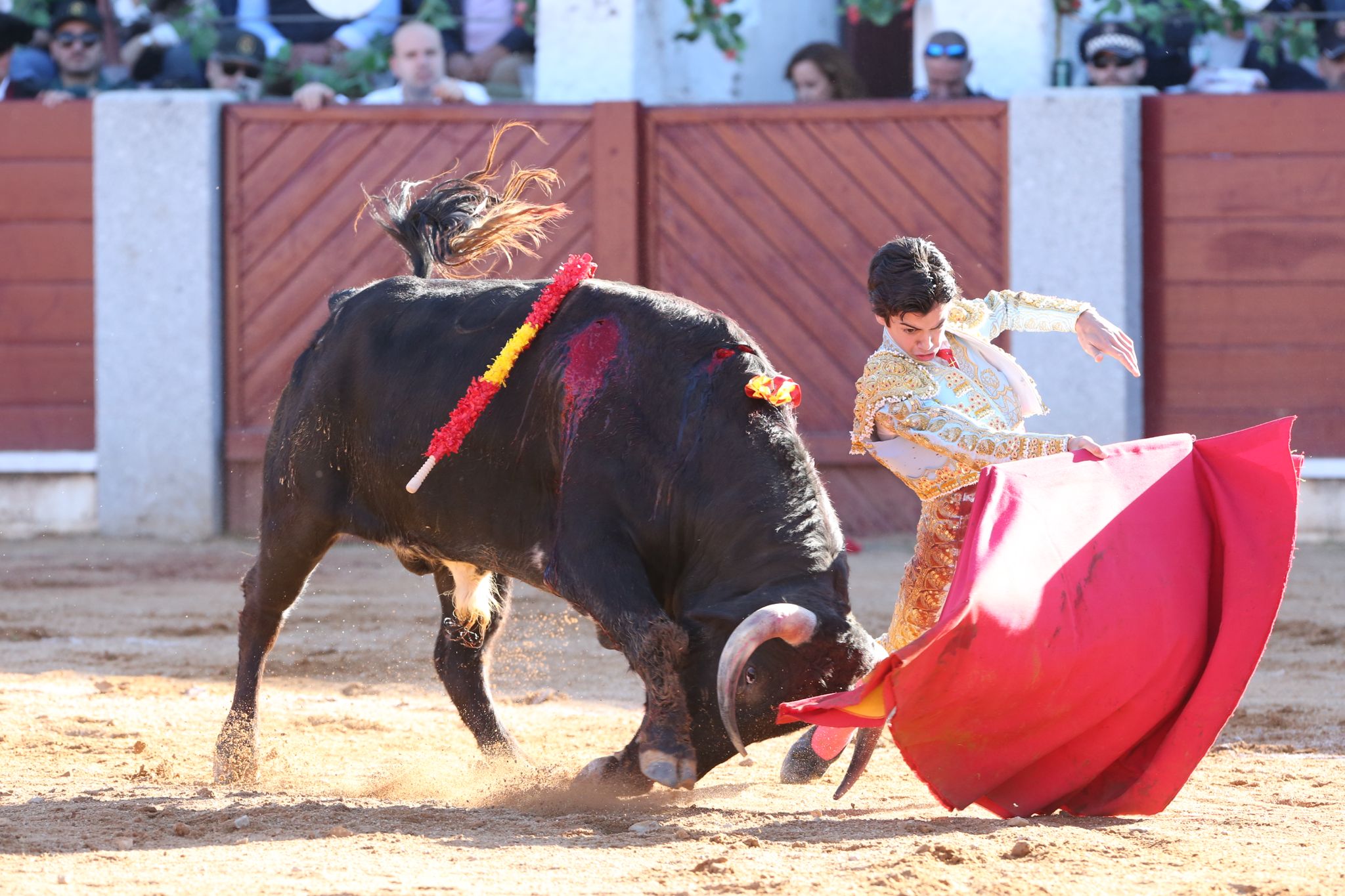 Puerta grande para Marco Pérez en una ilusionante tarde en Guijuelo