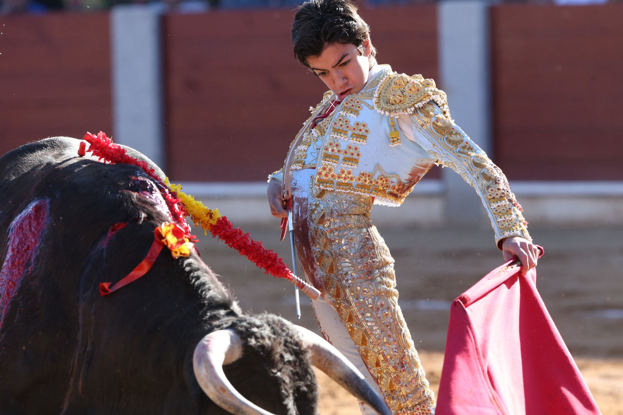 Puerta grande para Marco Pérez en una ilusionante tarde en Guijuelo