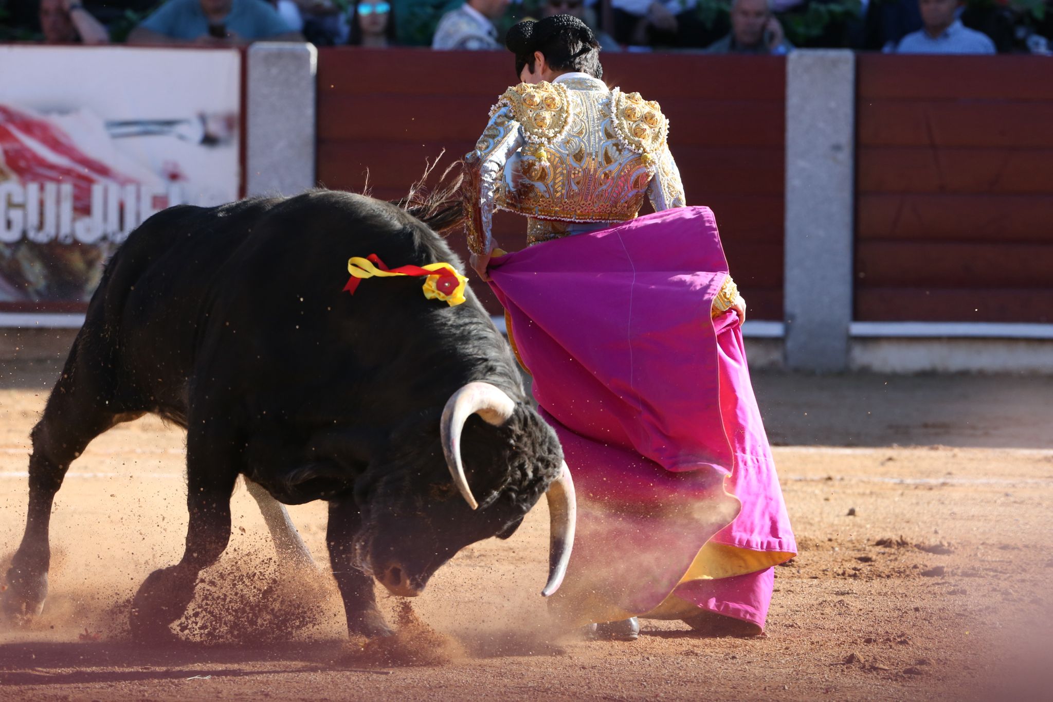 Puerta grande para Marco Pérez en una ilusionante tarde en Guijuelo