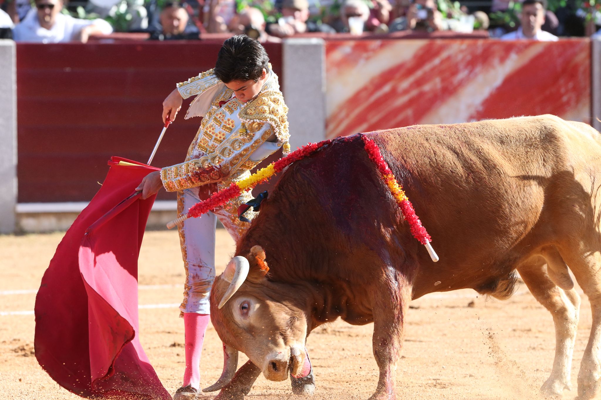 Puerta grande para Marco Pérez en una ilusionante tarde en Guijuelo