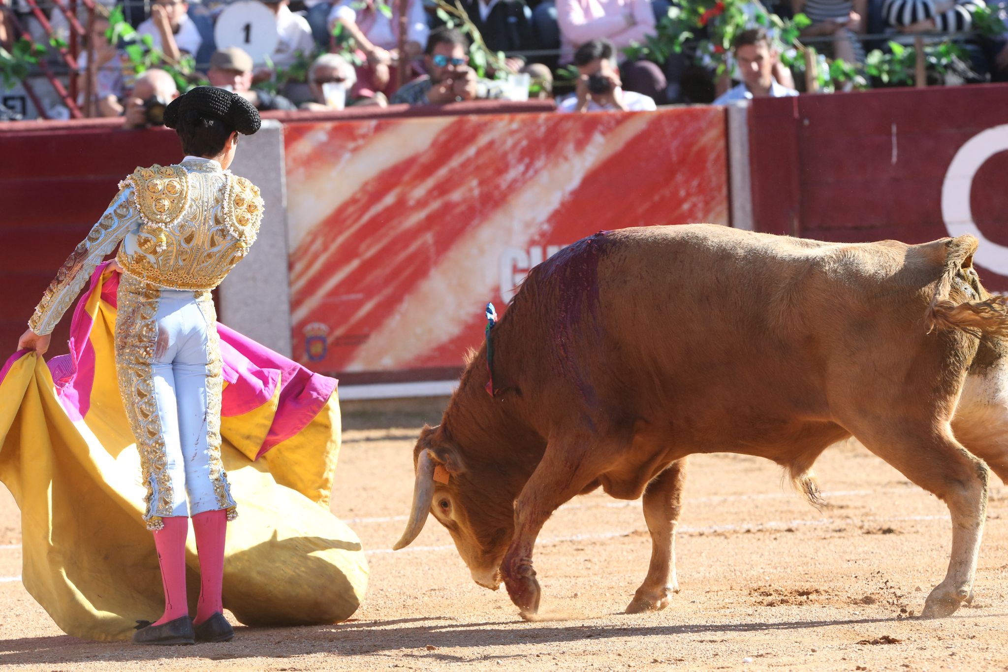 Puerta grande para Marco Pérez en una ilusionante tarde en Guijuelo