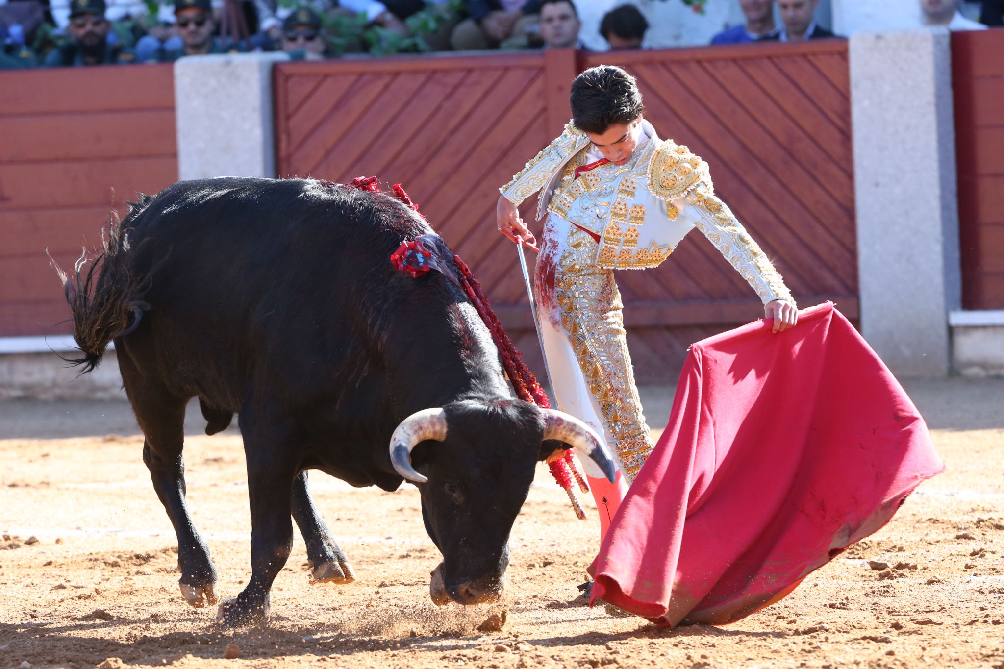 Puerta grande para Marco Pérez en una ilusionante tarde en Guijuelo