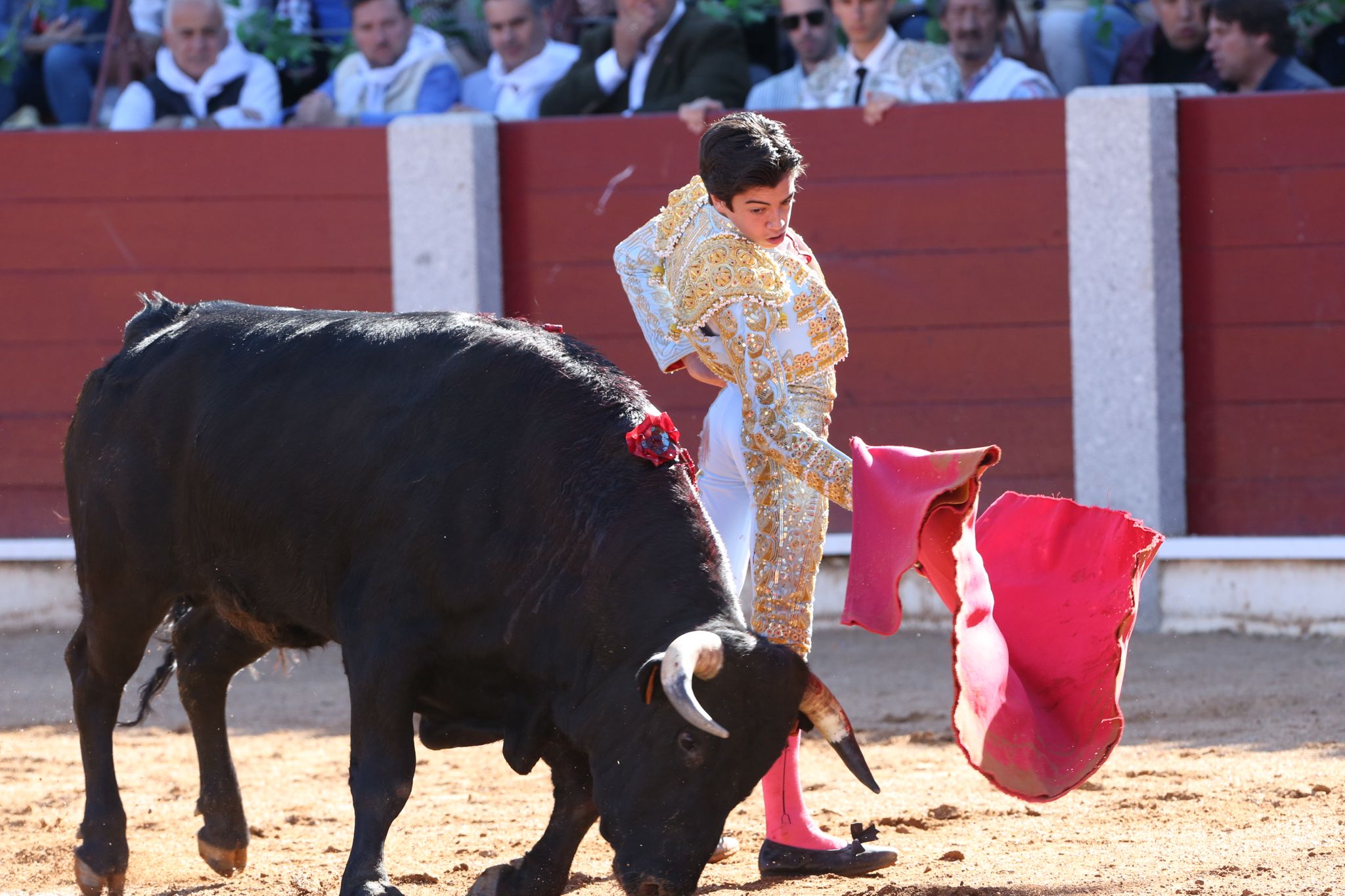 Puerta grande para Marco Pérez en una ilusionante tarde en Guijuelo