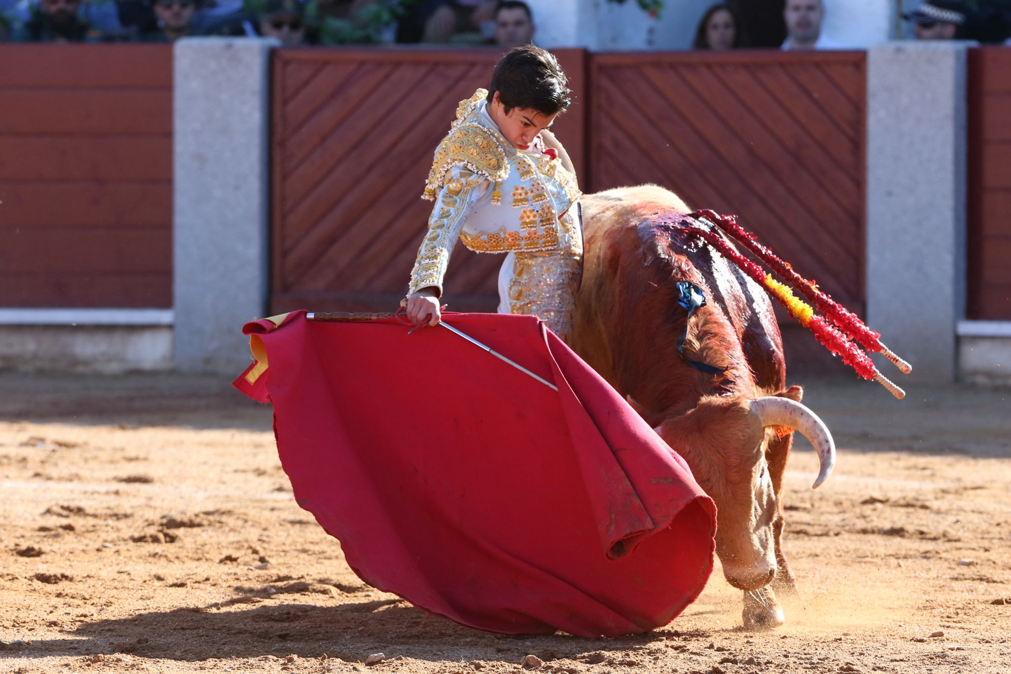 Puerta grande para Marco Pérez en una ilusionante tarde en Guijuelo