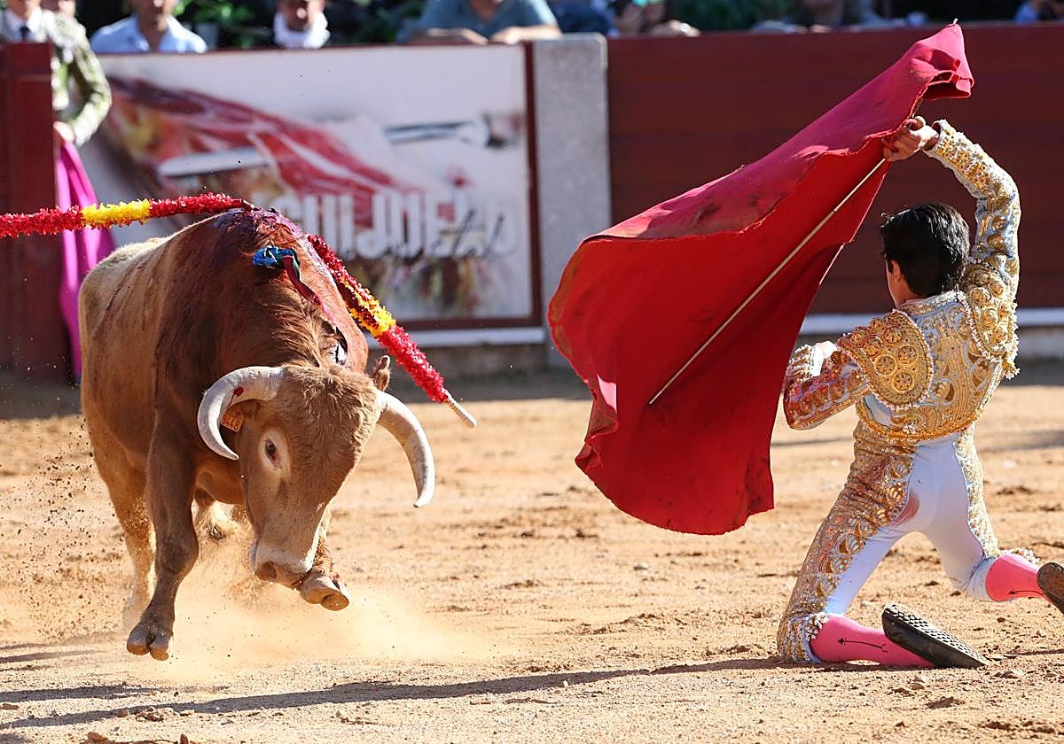 Puerta grande para Marco Pérez en una ilusionante tarde en Guijuelo