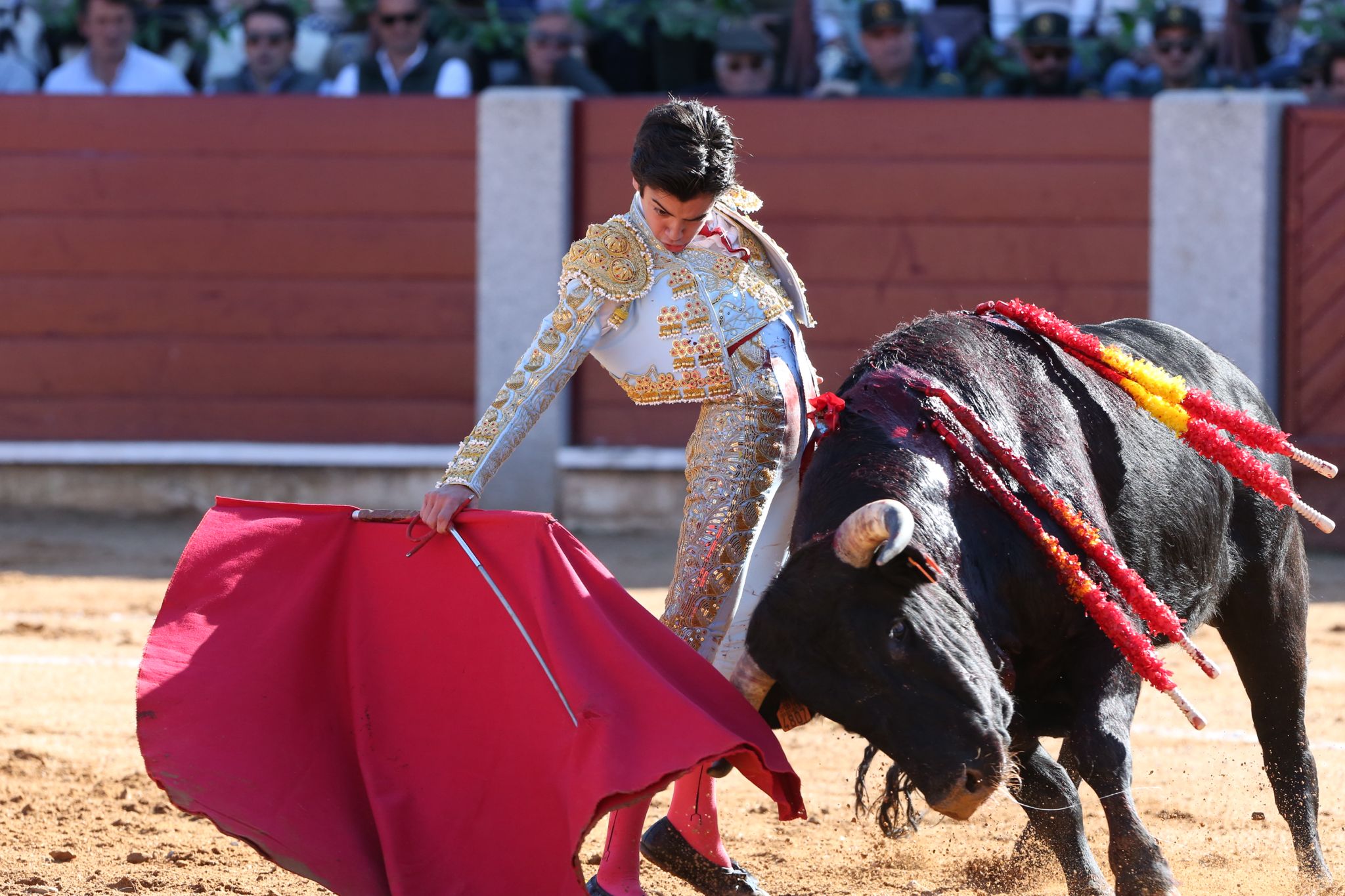Puerta grande para Marco Pérez en una ilusionante tarde en Guijuelo