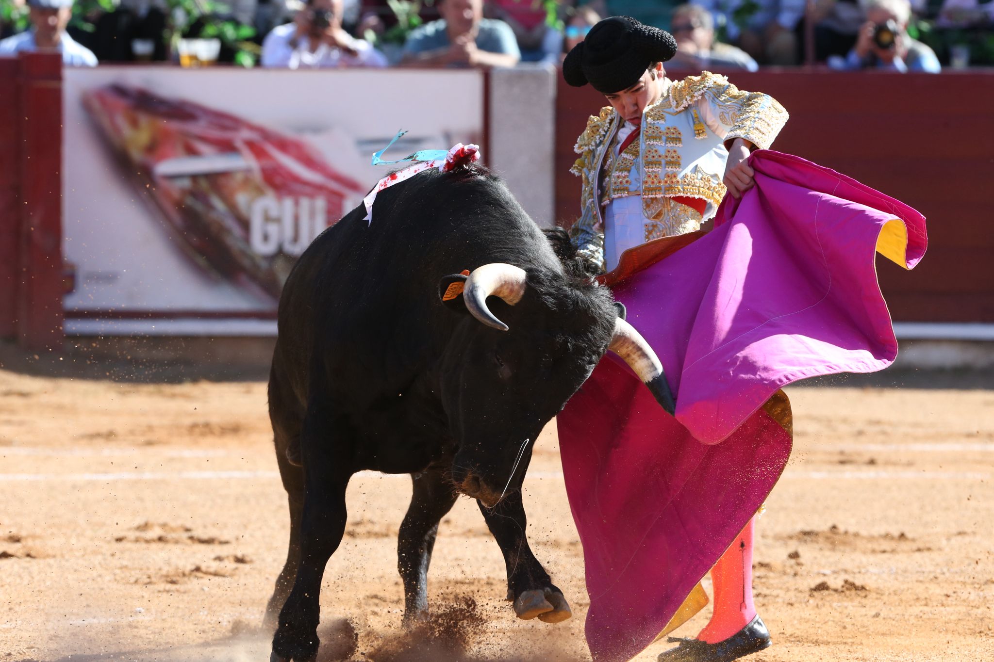 Puerta grande para Marco Pérez en una ilusionante tarde en Guijuelo