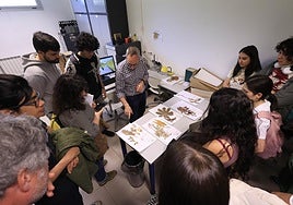 Varios alumnos atienden las explicaciones de un experto.