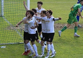 Los jugadores del Salamanca UDS celebran el tanto de penalti de Diego Benito.