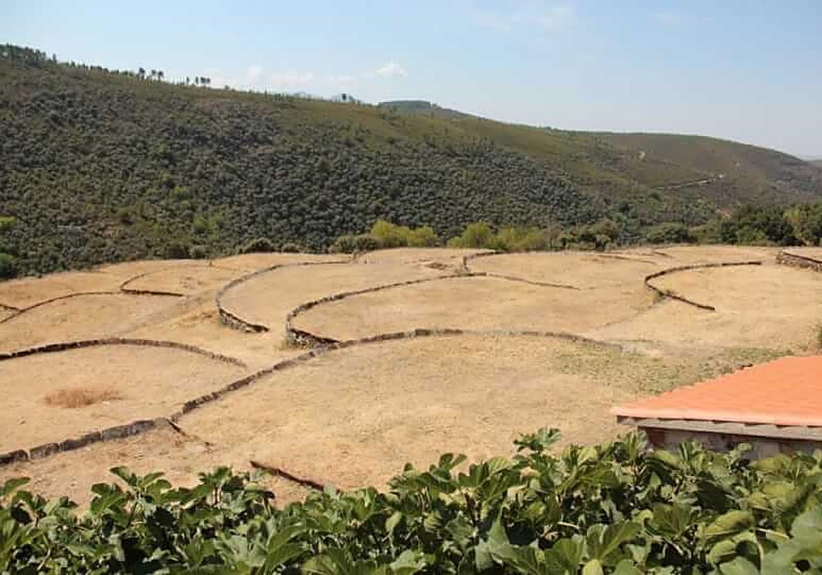 El conunto de eras tradicionales de Monsagro.