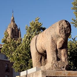 El verraco del Puente Romano