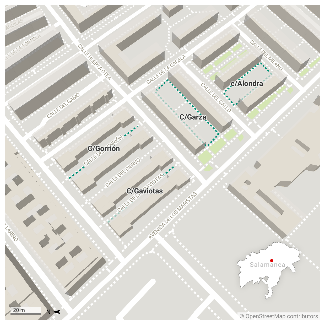 Las plazas dedicadas a aves en Salamanca que cambian árboles secos por nuevas zonas verdes