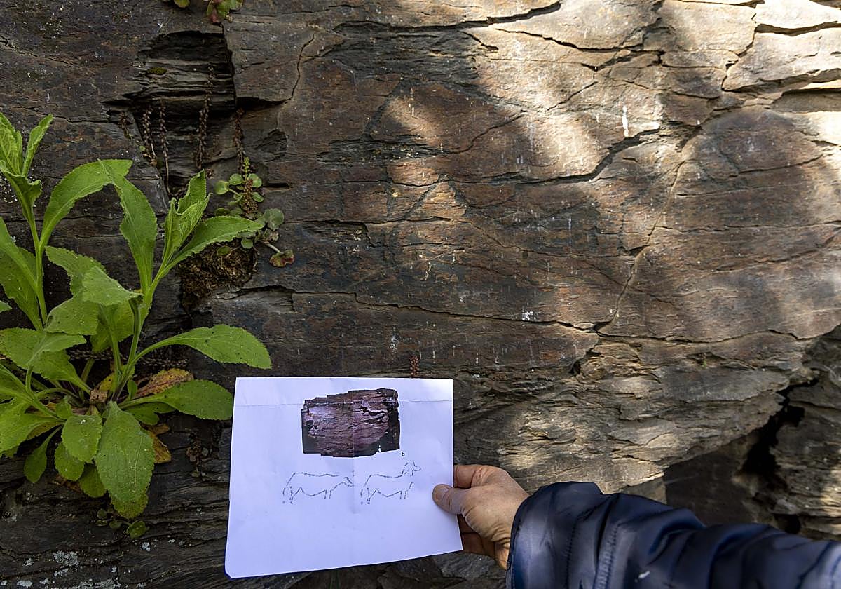 Imagen de una de las representaciones del yacimiento de La Salud