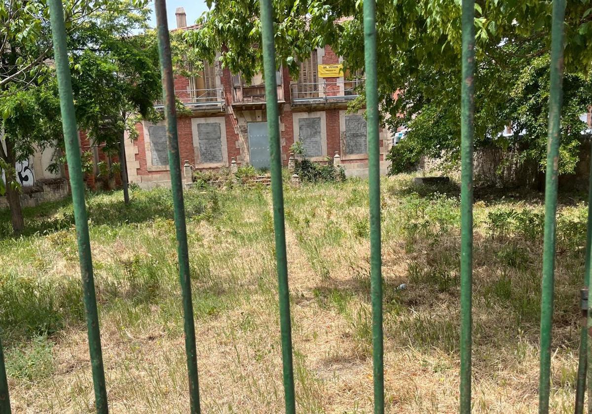 Insalubridad, gatos y vegetación incontrolada: el último informe negativo del céntrico palacete en ruinas