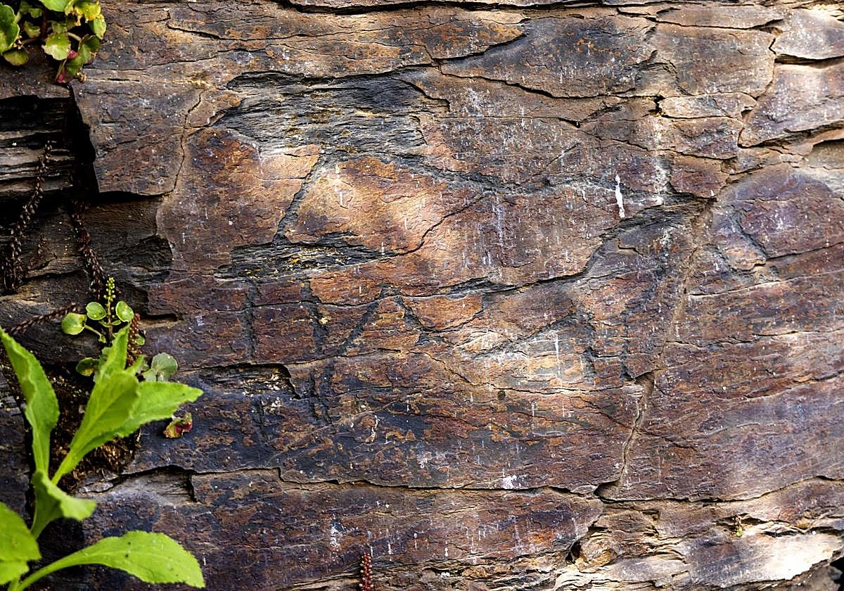 El PSOE registra en Cortes una iniciativa para proteger los grabados rupestres de la Salud