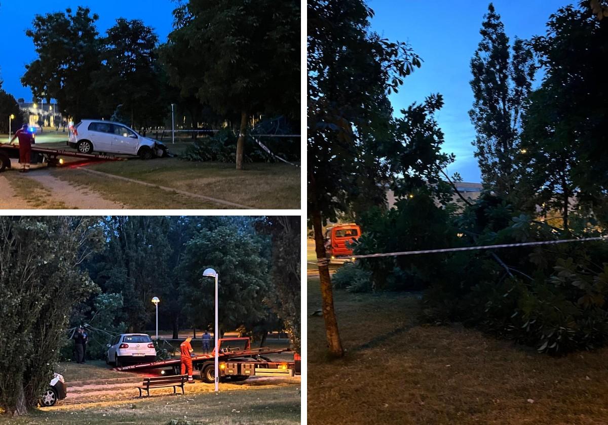A la izquierda, el coche empotrado contra el árbol, y a la derecha, el árbol derribado.