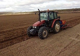Foto de Archivo de una zona de cultivo en Encinas de Abajo