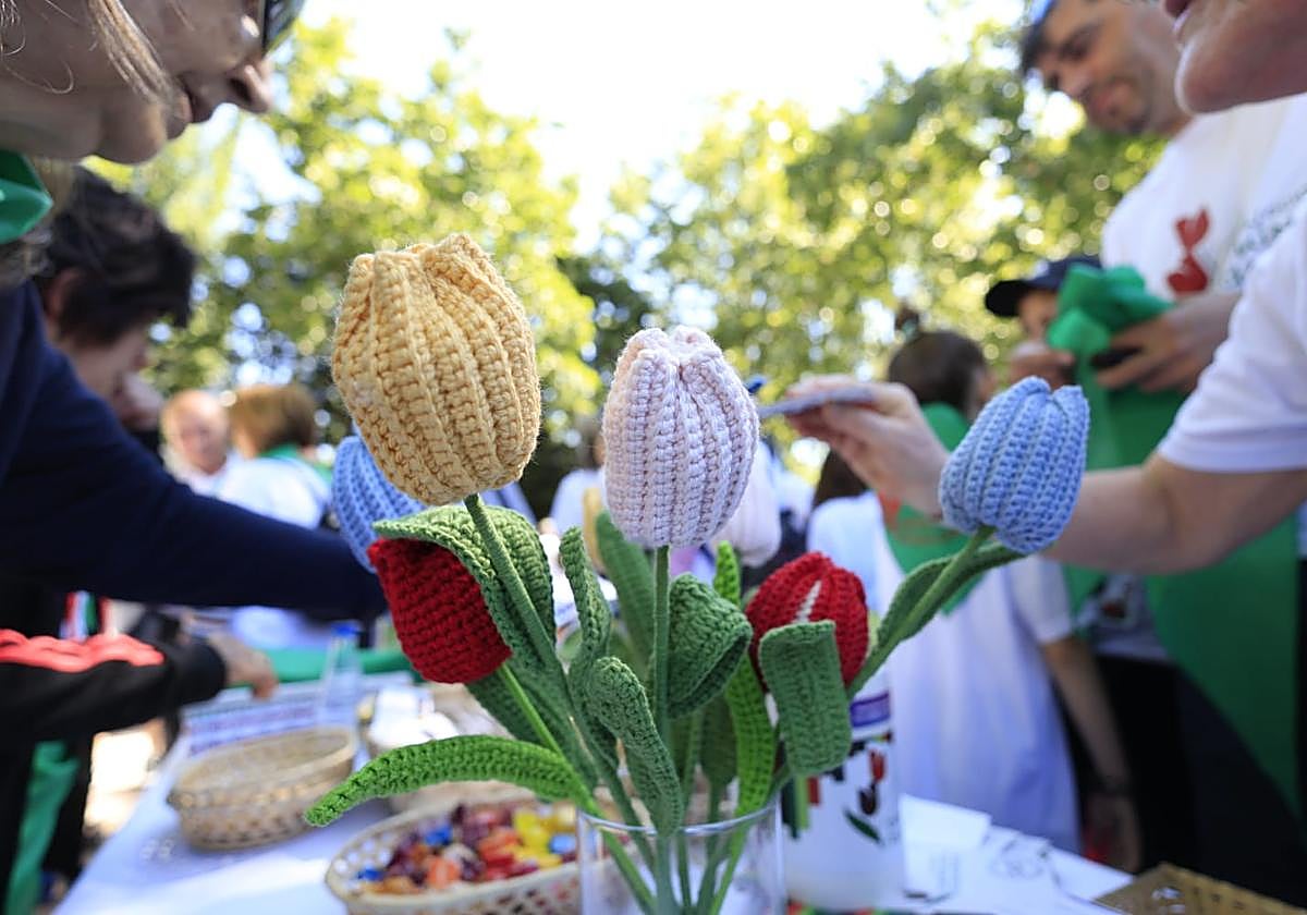 Cientos de salmantinos marchan por una buena causa