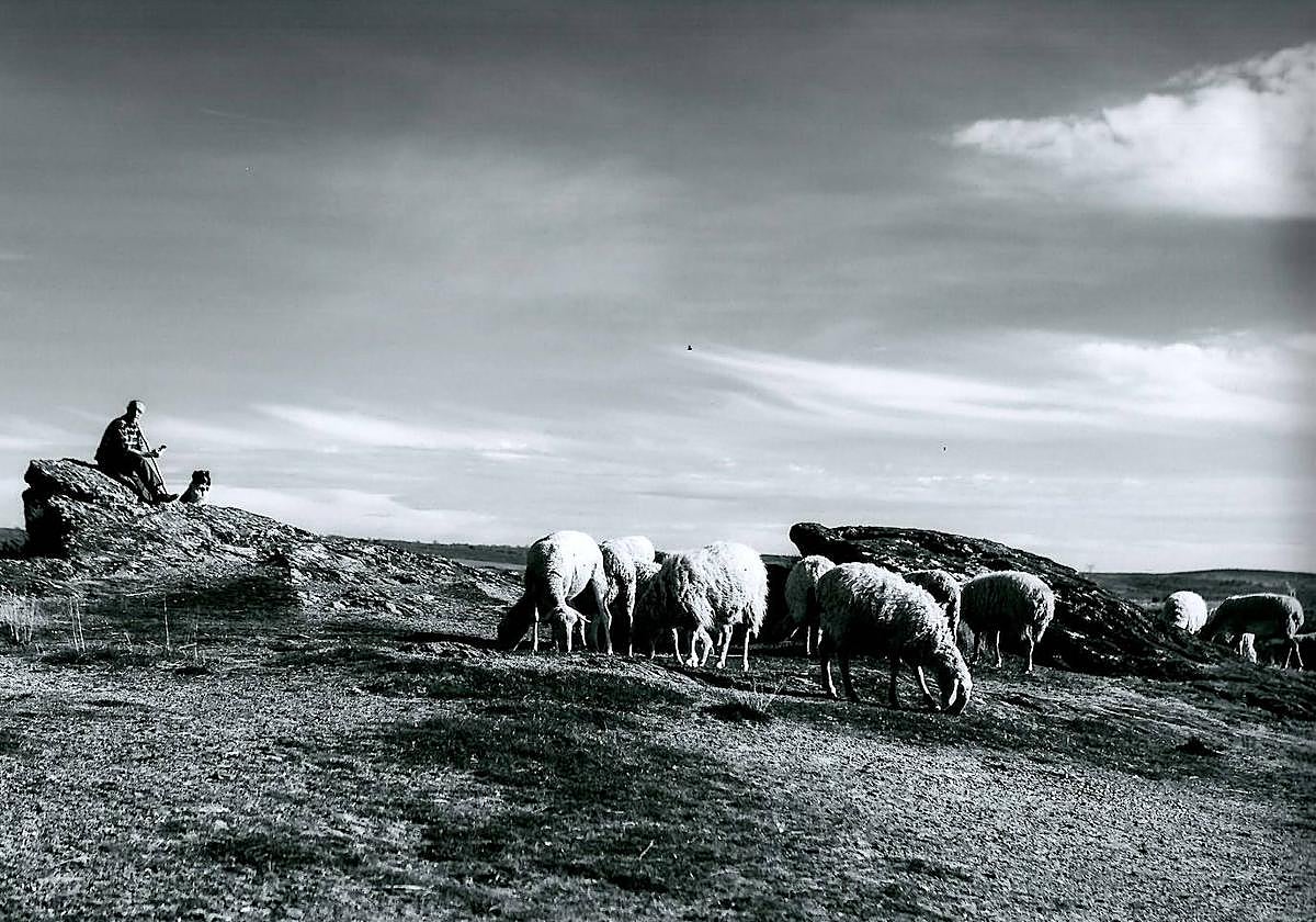 Una de las fotografías del concurso en ediciones anteriores