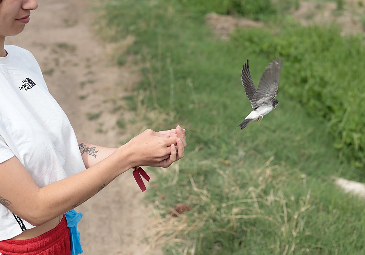 Suelta de uno de los pollos atendidos en Las Dunas.
