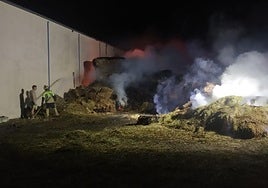 Incendio en Almenara de Tormes.