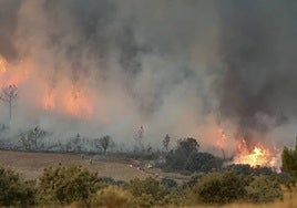 Imagen de un incendio forestal en la región.
