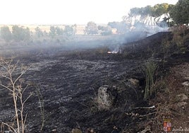 Imagen del incendio de Aldehuela de la Bóveda.