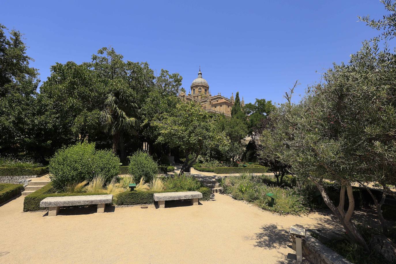 La inclusividad encabeza el turismo en Salamanca