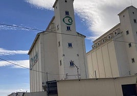 El silo de Ciudad Rodrigo que sale a subasta.