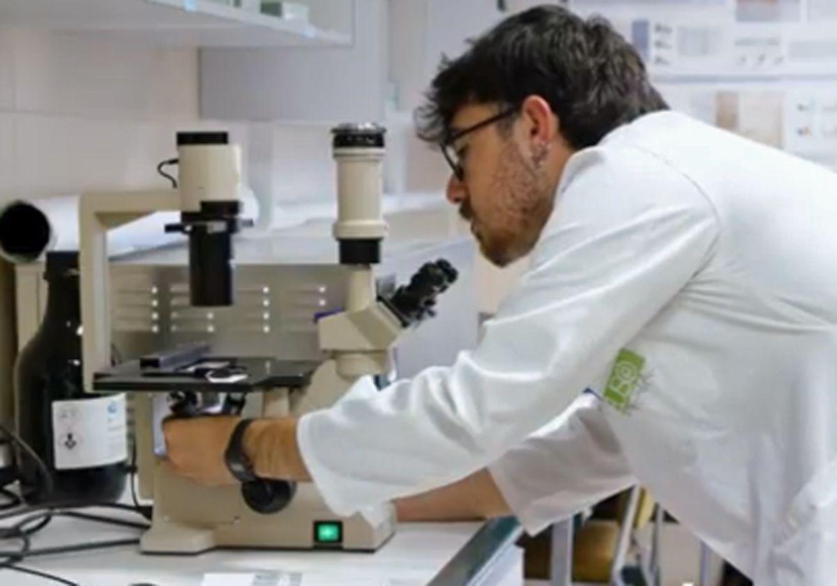 La Universidad de Salamanca ofrece 44 programas de Doctorado en todas las ramas del conocimiento.