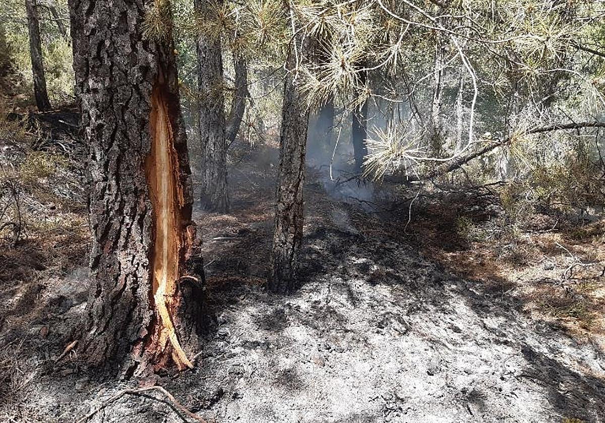 Un incendio moviliza a numerosos medios aéreos y terrestres en Barruecopardo