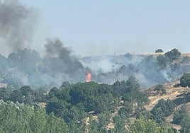 Incendio en Pelabravo.