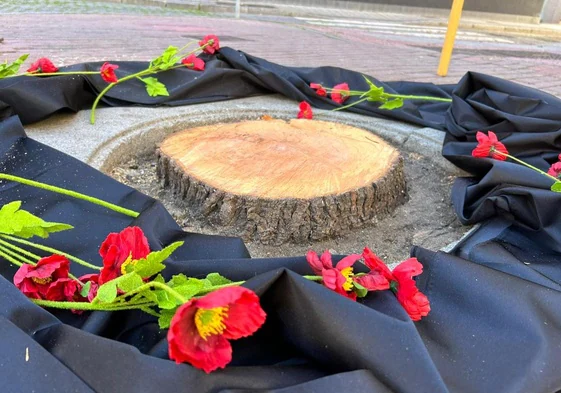 Uno de los árboles caídos rodeado de flores y una tela negra