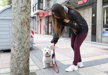 Monterrubio de Armuña aumenta a obrigação de limpar a urina de cães com água