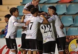 Los jugadores del Salamanca CF UDS celebran el gol.