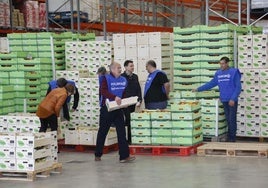 Voluntarios en el Banco de Alimentos